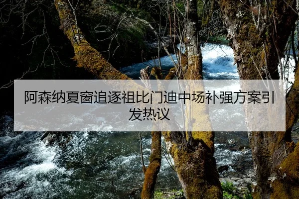 阿森纳夏窗追逐祖比门迪中场补强方案引发热议